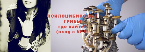ECSTASY Абаза