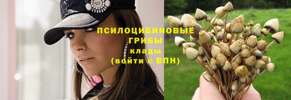 спайс Абдулино
